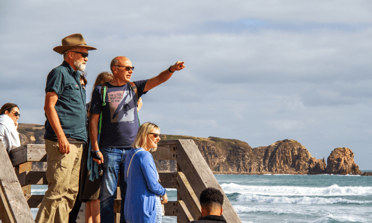 Penguins Express Tour from Melbourne - image 6