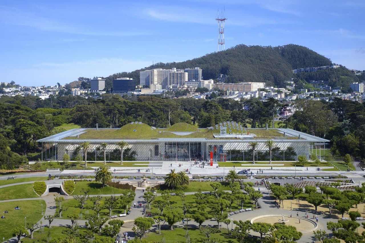 California Academy of Sciences Ticket - image 2