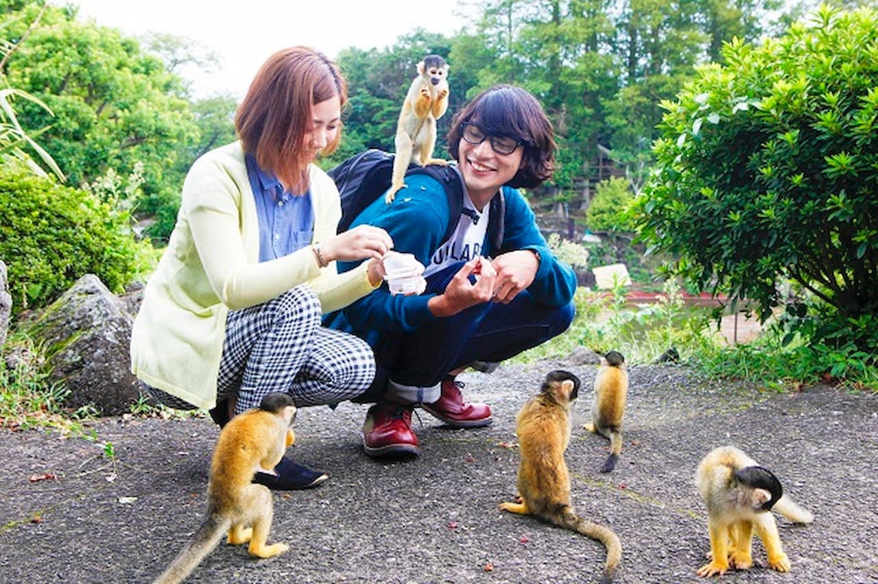 Izu Shaboten Zoo Ticket - image 3
