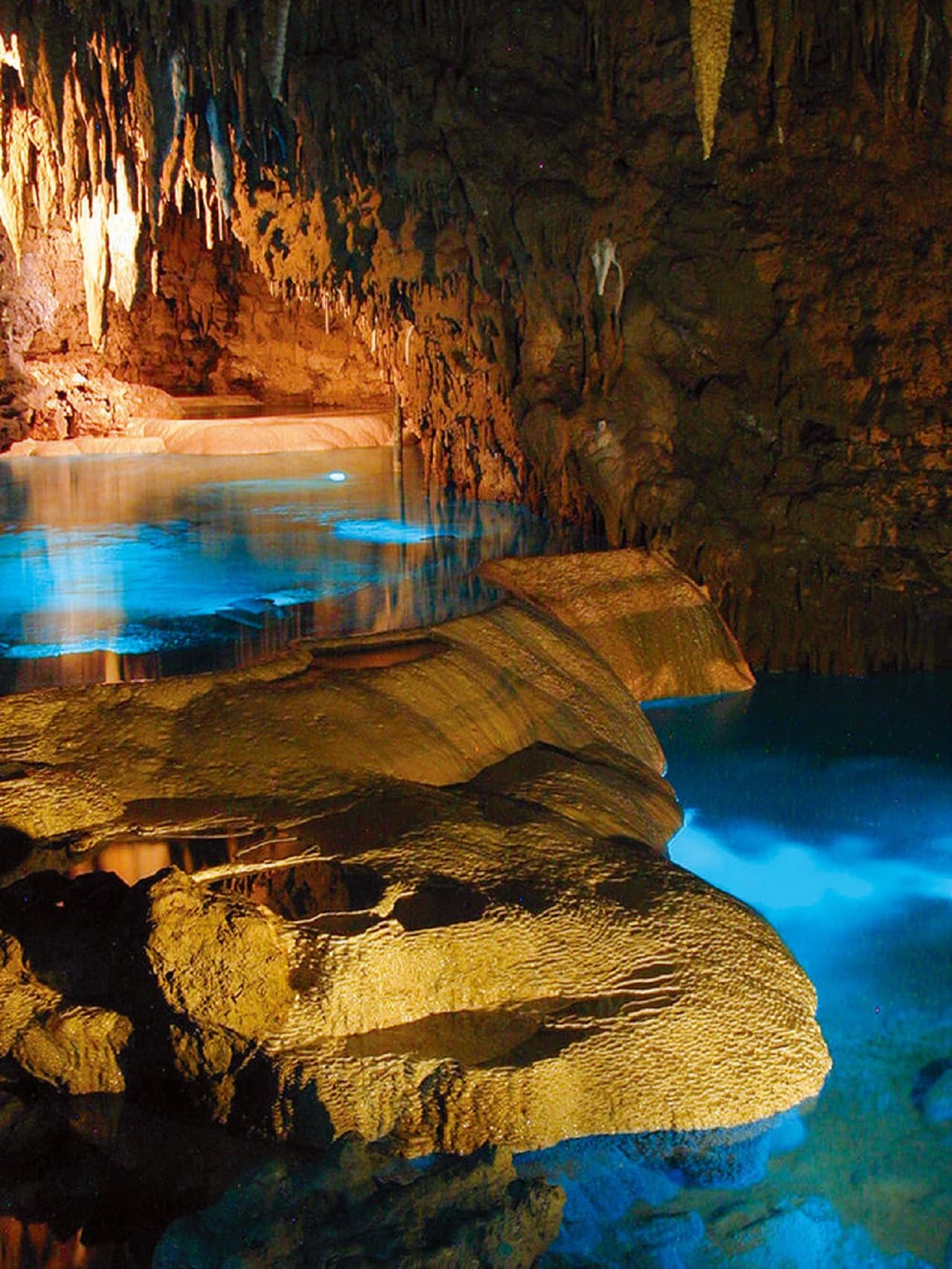 Okinawa World Pass - image 7