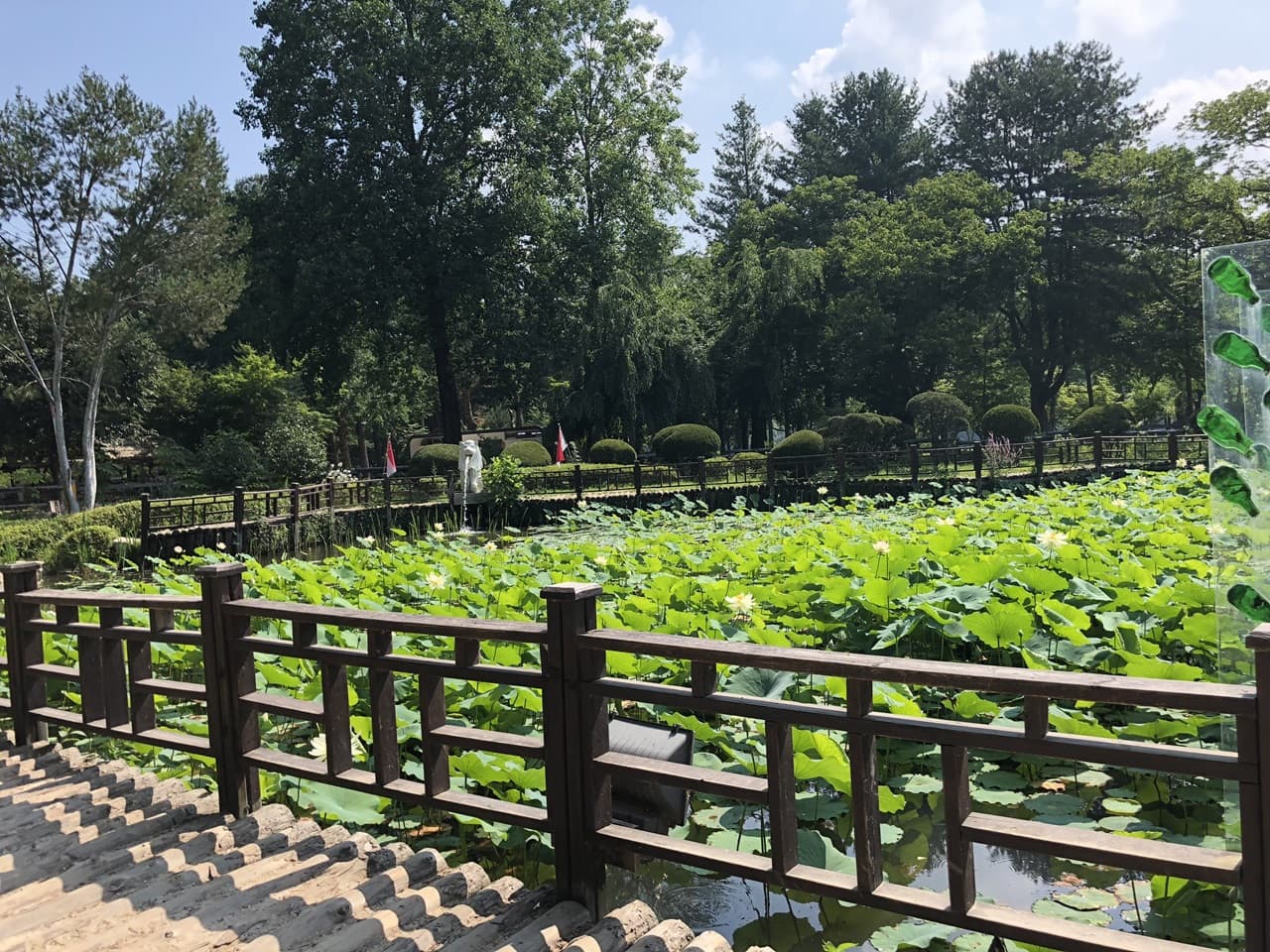 Nami Island, Mount Seorak, and Garden of Morning Calm Full-Day Tour from Seoul - image 36