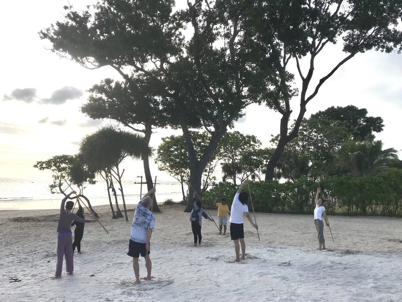 Traditional Dong Stick Workout - image 7