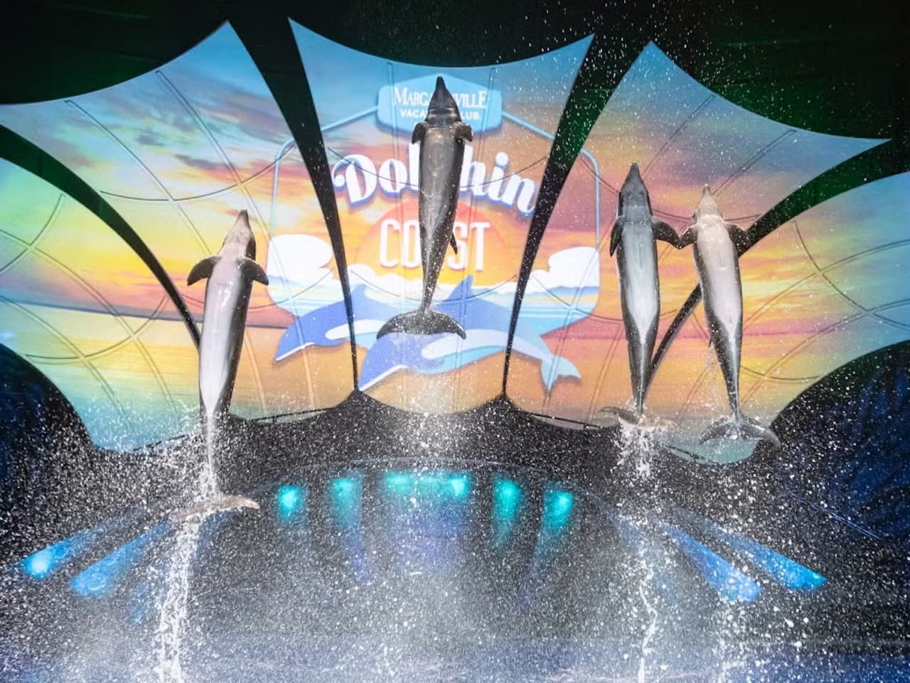 Georgia Aquarium: Fast Track Ticket - image 5