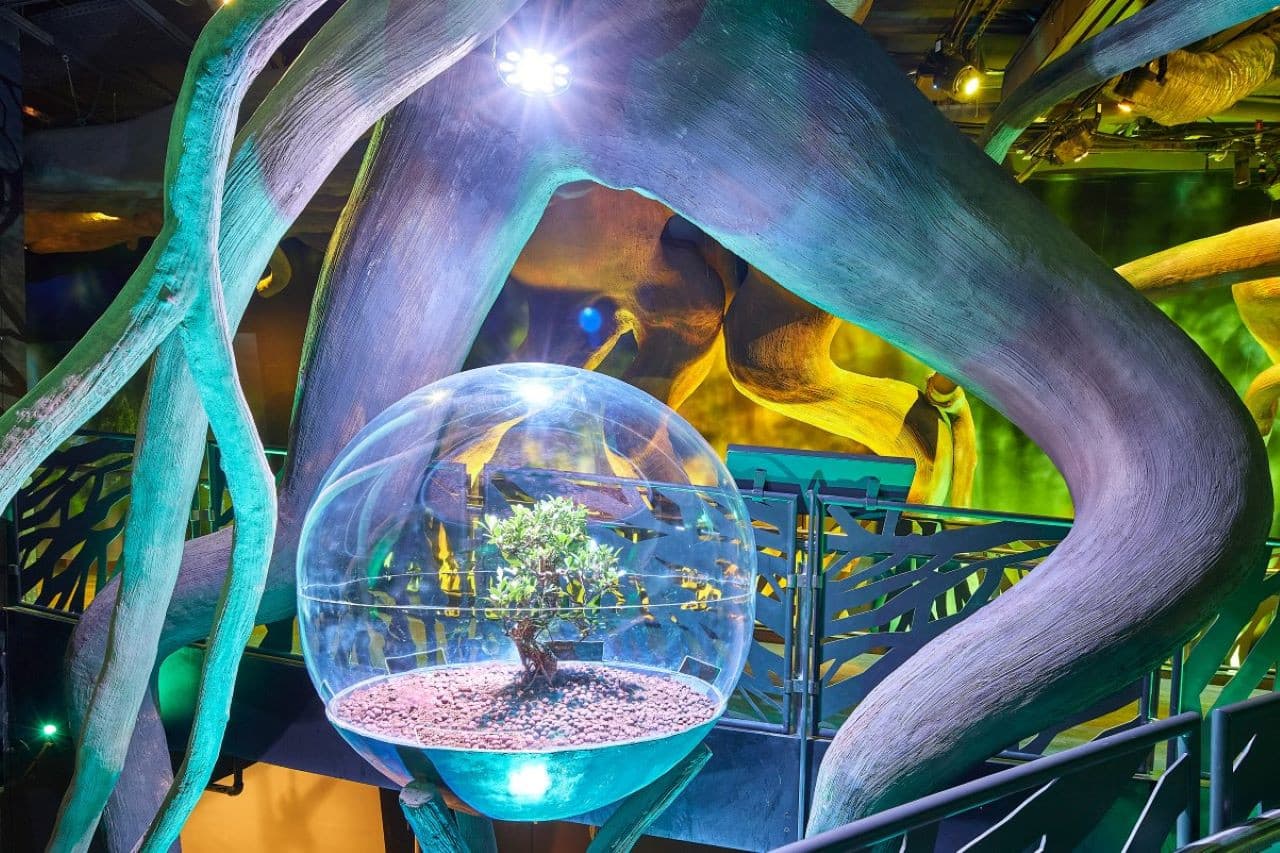 Expo City Dubai Ticket - image 8