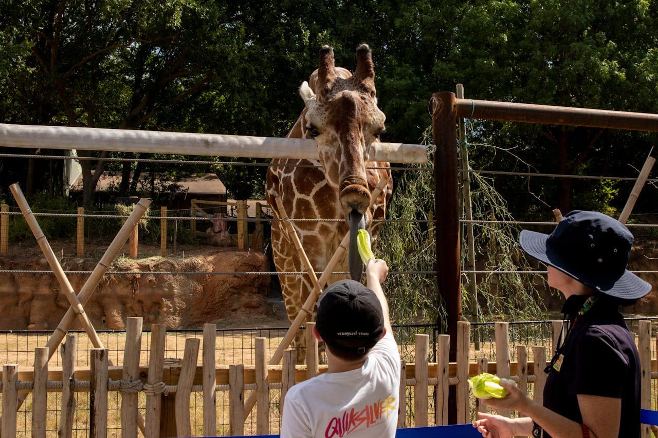Zoo Atlanta Entry Ticket - image 6