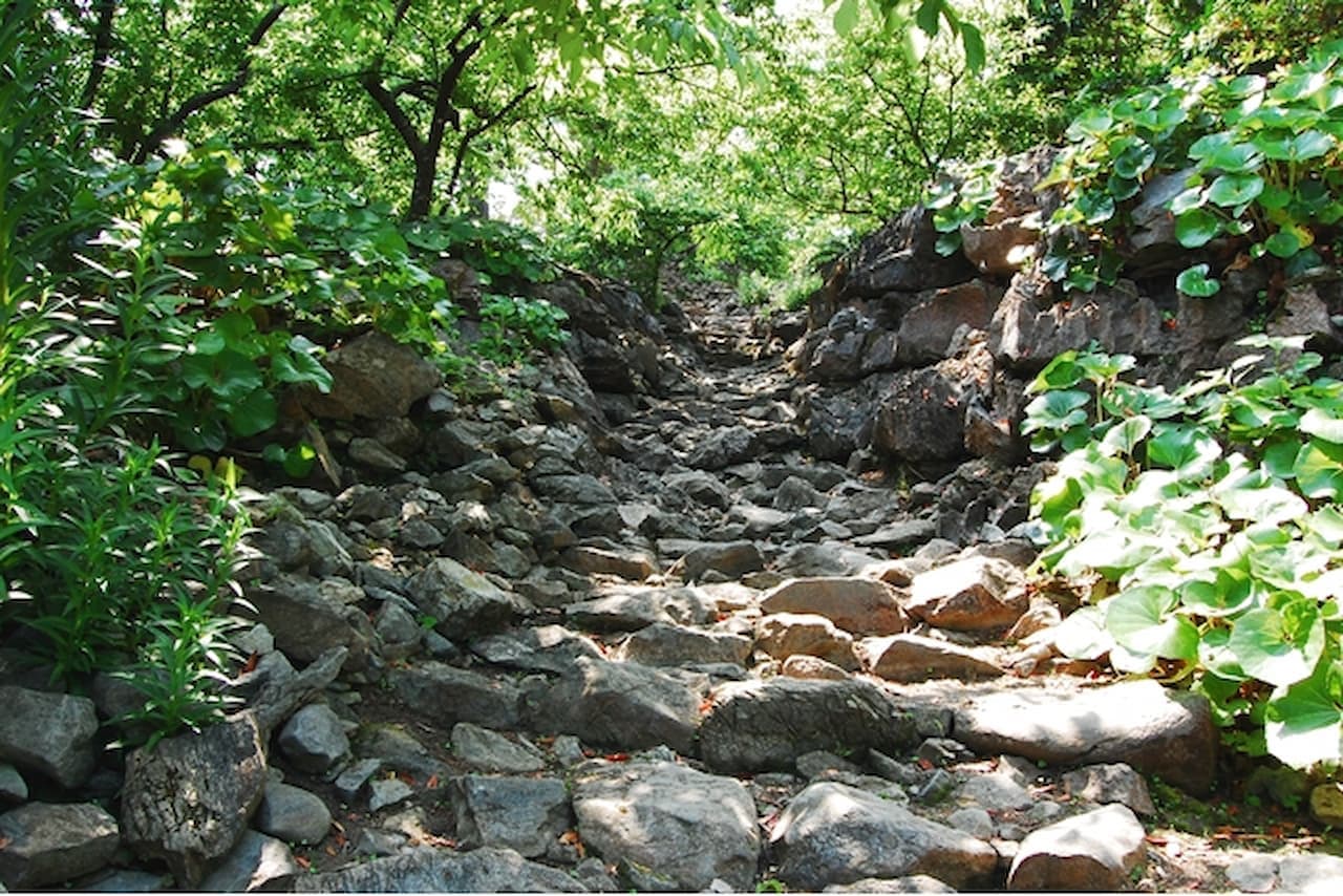Nakijin Castle Ruins Ticket - image 8
