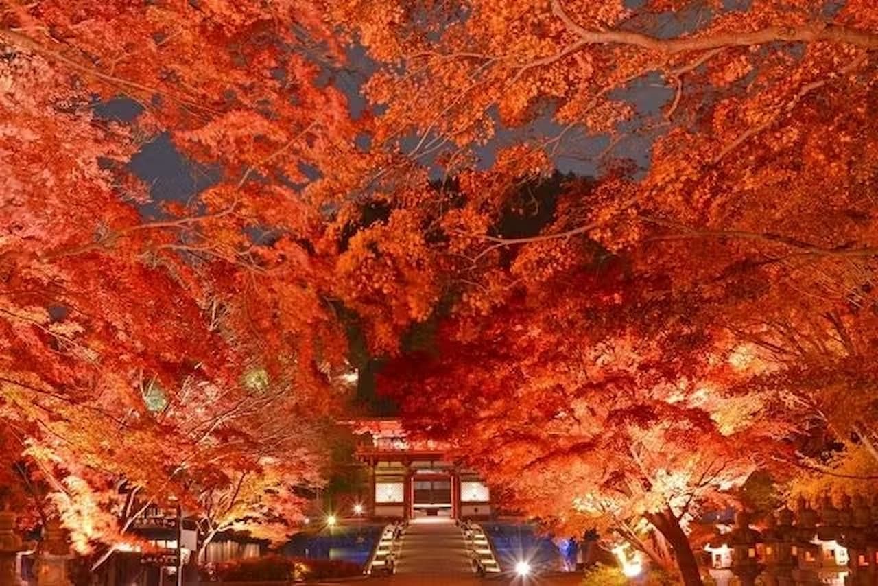 Katsuo-ji Temple Ticket - image 3