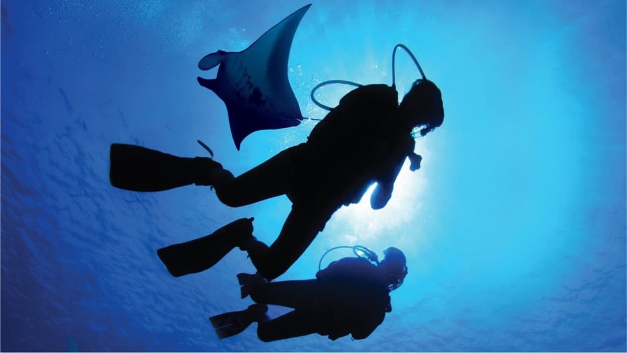 Ultimate Marine Life Experience at Adventure Cove Waterpark - image 4