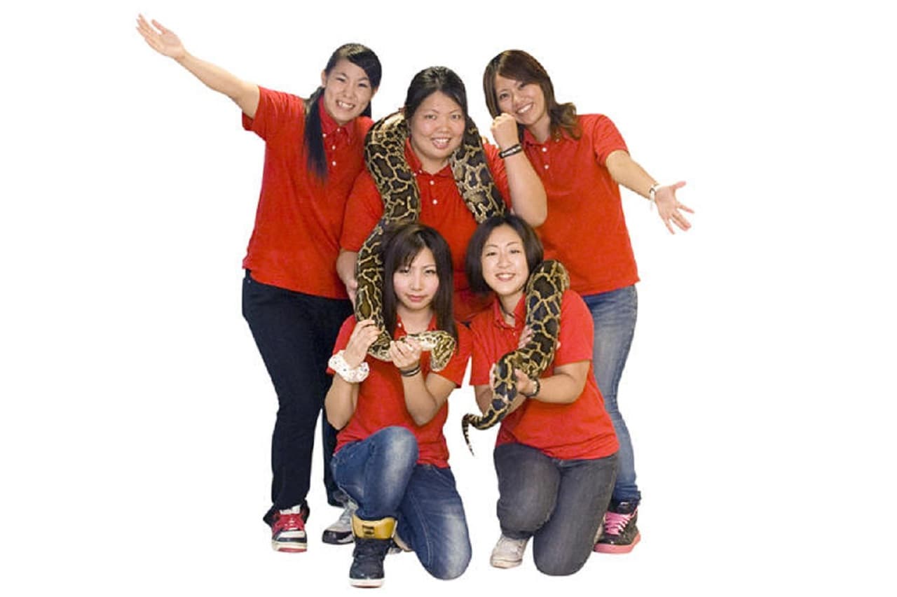 Okinawa World Pass - image 15