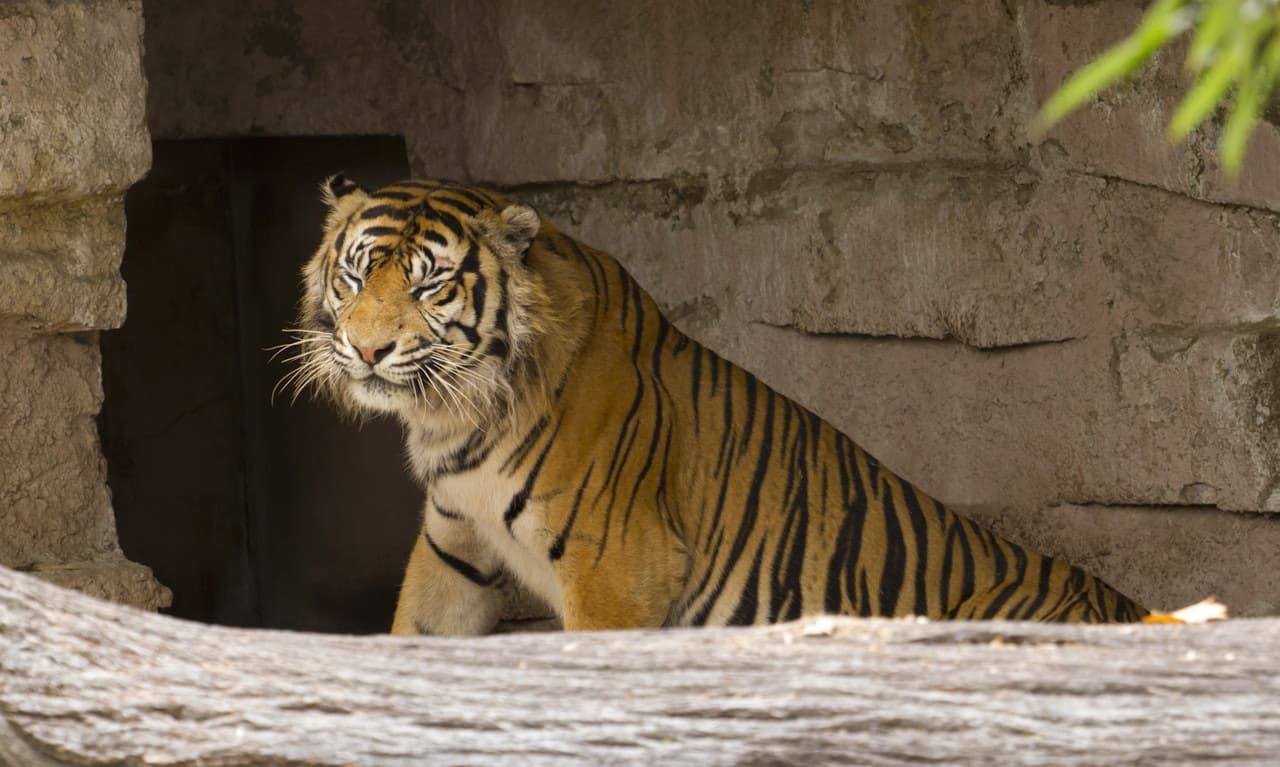 Barcelona Zoo - image 4
