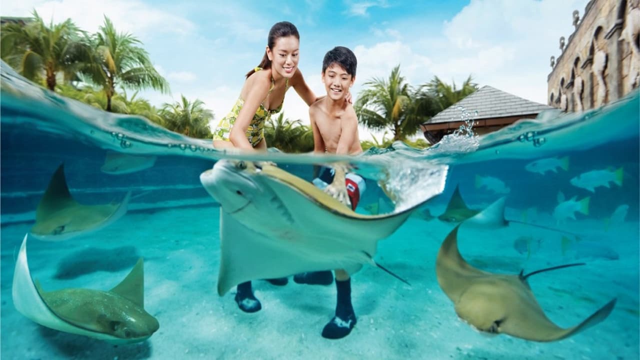 Ultimate Marine Life Experience at Adventure Cove Waterpark - main image