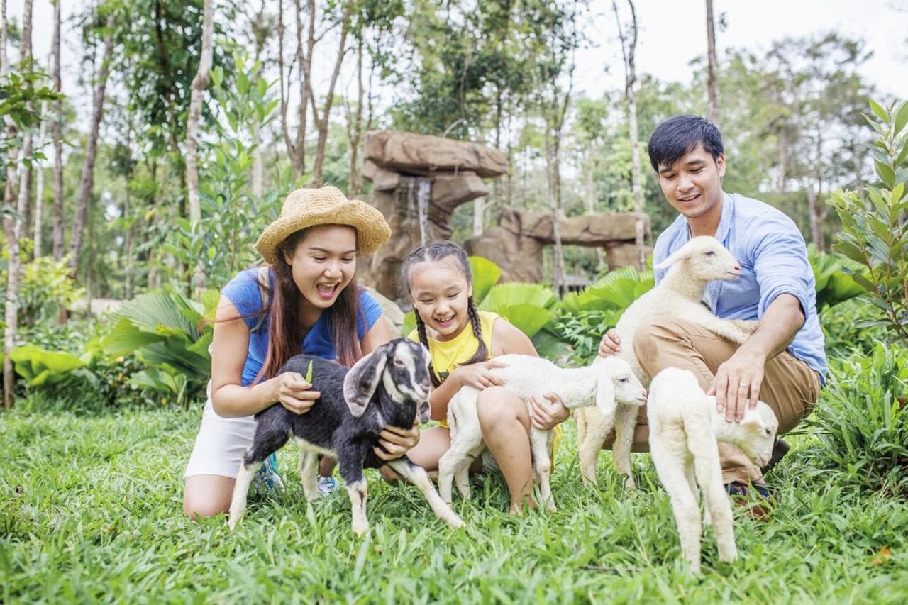 Vinpearl Safari Phu Quoc Ticket - image 10