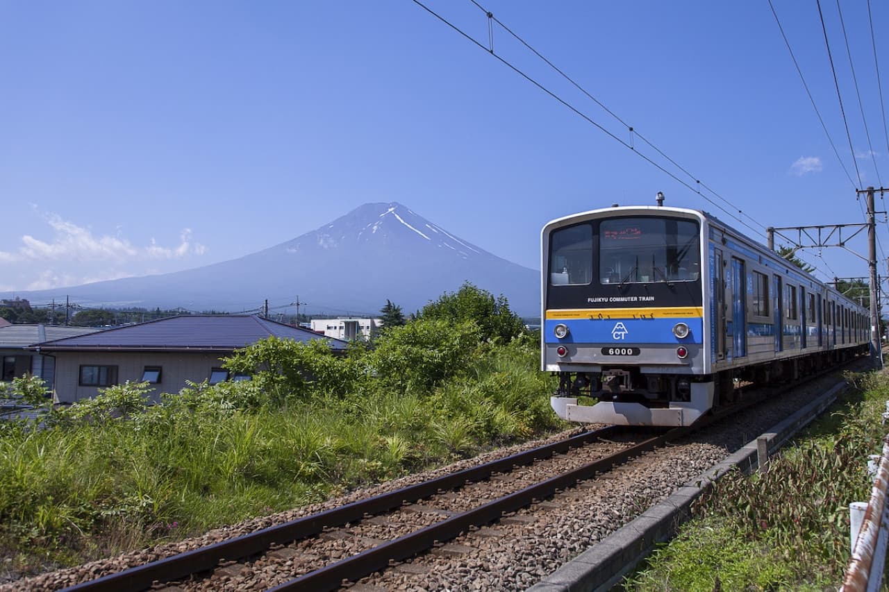 Fuji Hakone Pass - image 7