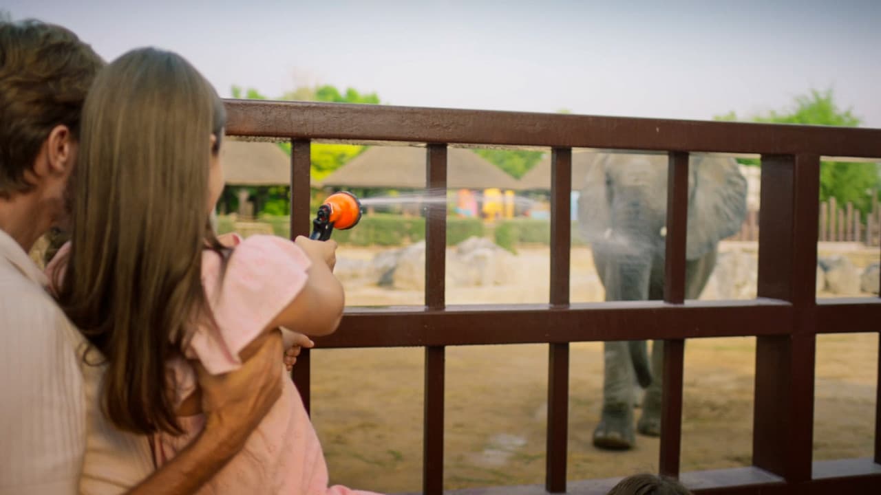 Dubai Safari Park Ticket - image 19