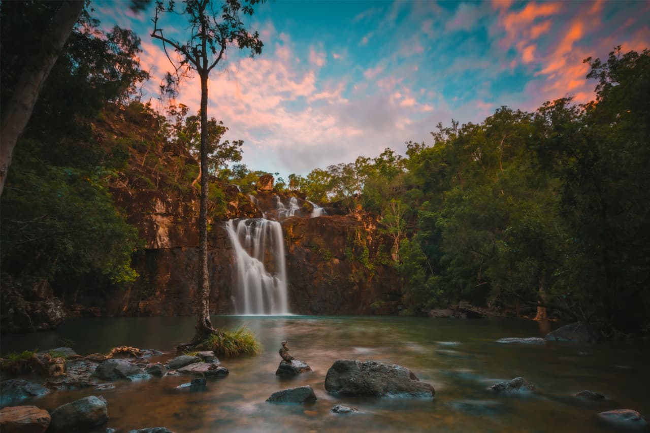 Cedar Creek Falls Tour - imagen principal