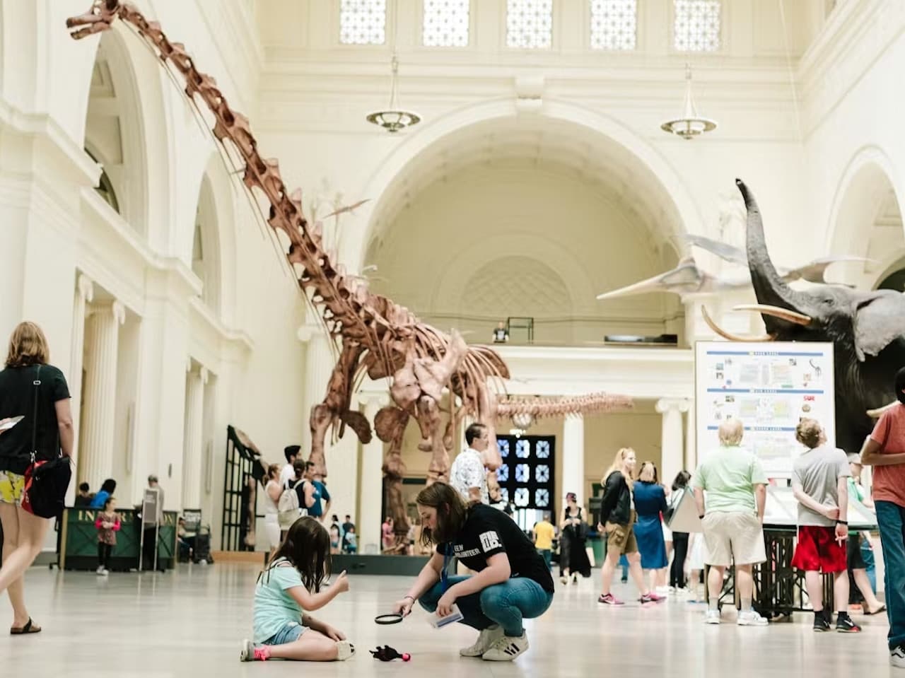 The Field Museum of Natural History Ticket - imagen 10