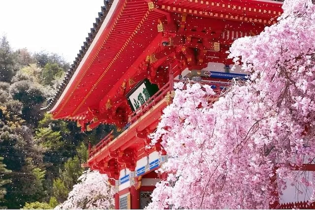 Katsuo-ji Temple Ticket - image 4