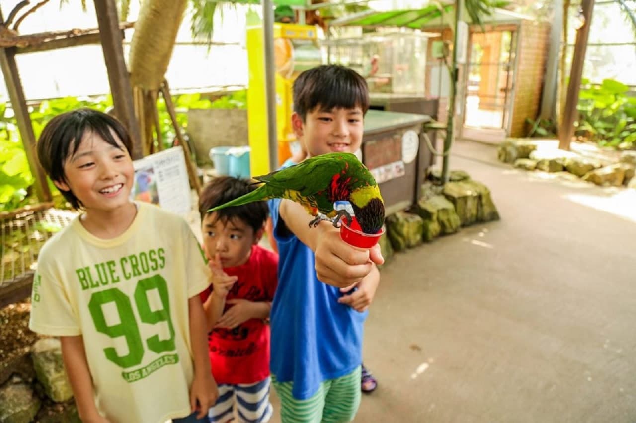 Okinawa Tropical Fruits Land - image 6