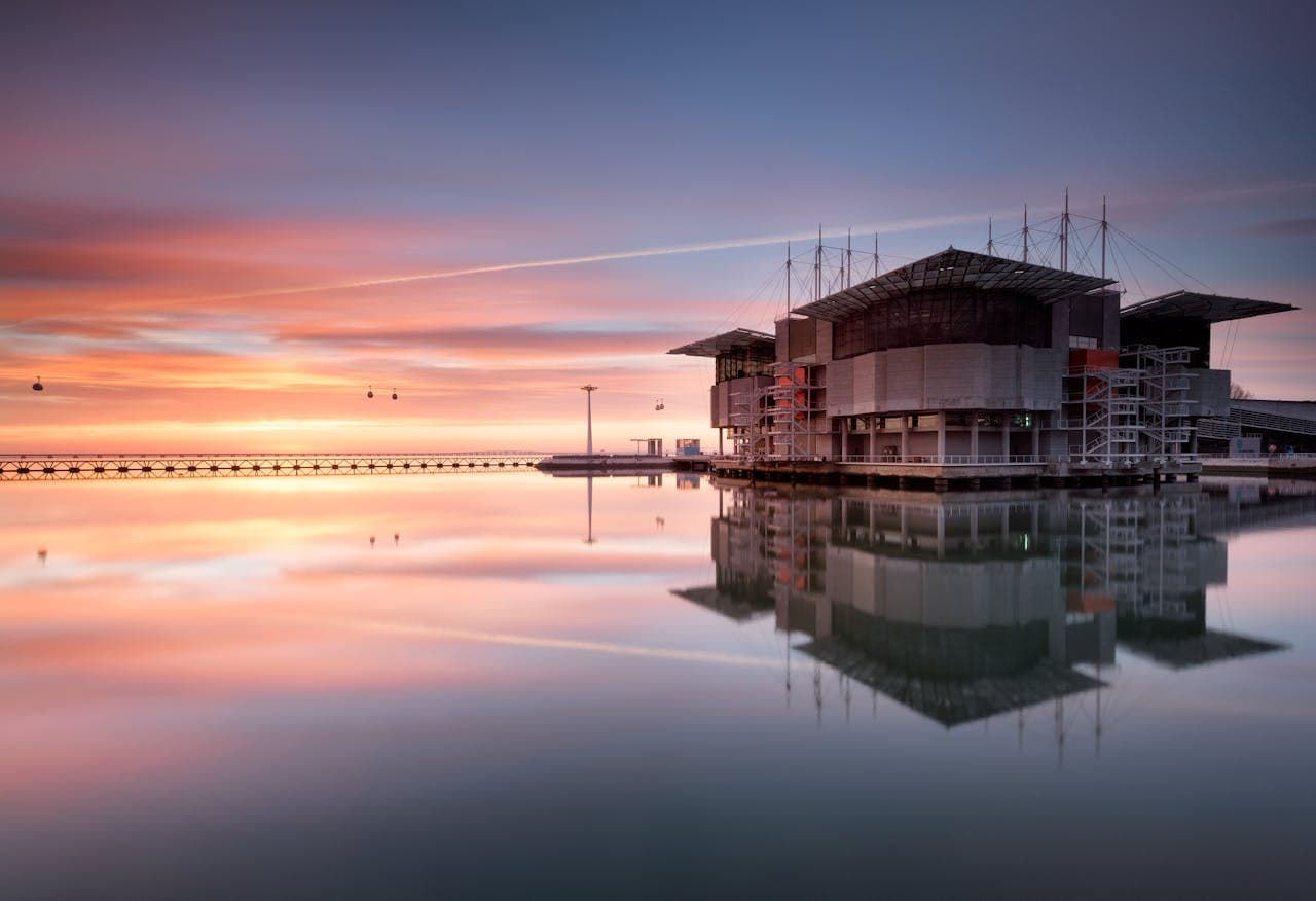 Oceanário de Lisboa Ticket - image 8
