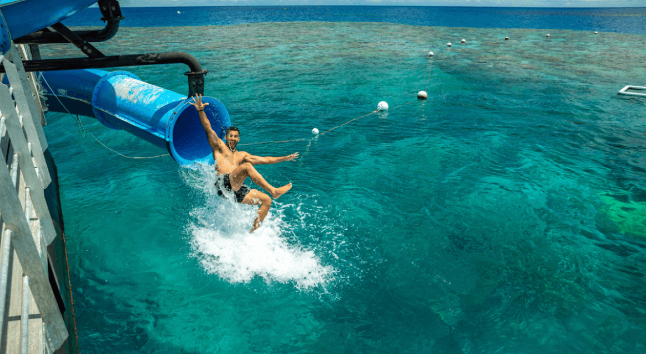 Great Barrier Reef Pontoon Full-Day Tour at Moore Reef - image 6