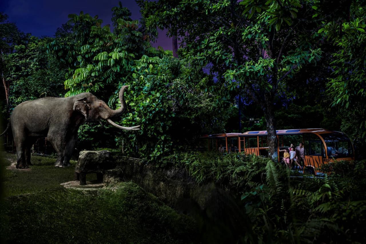 PROMO: Gardens by the Bay Autumn Escape Bundles (Save up to 30%) - image 7