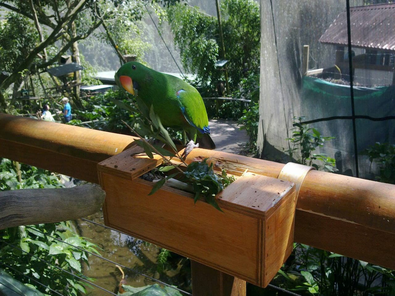 Birdworld Kuranda - image 5