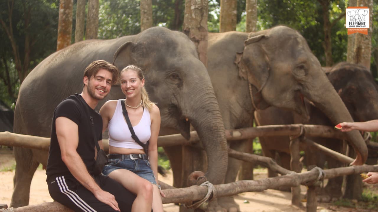 Elephant Jungle Sanctuary Koh Samui - image 9