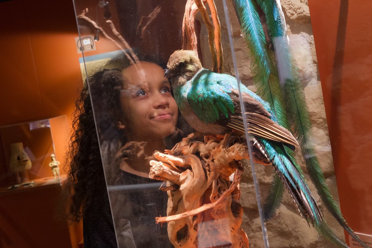 Chocolate Museum – Choco-Story Paris - image 6