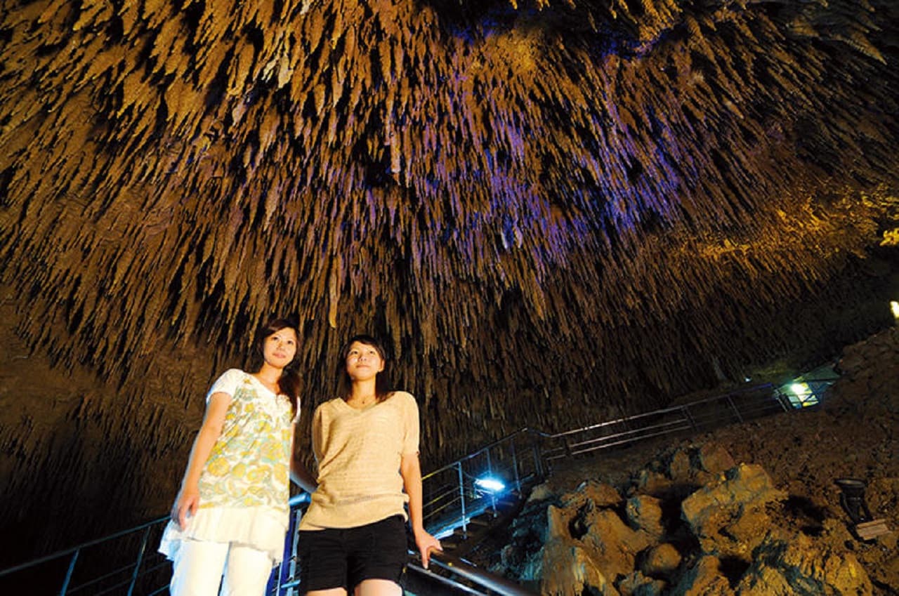 Okinawa World Pass - image 4