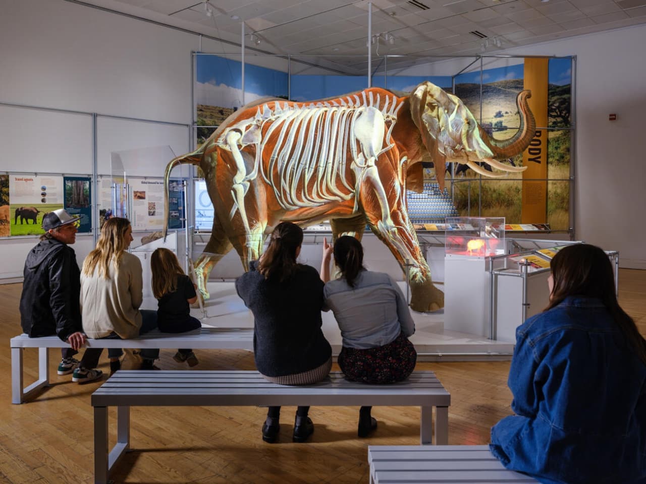 American Museum of Natural History Ticket - image 3