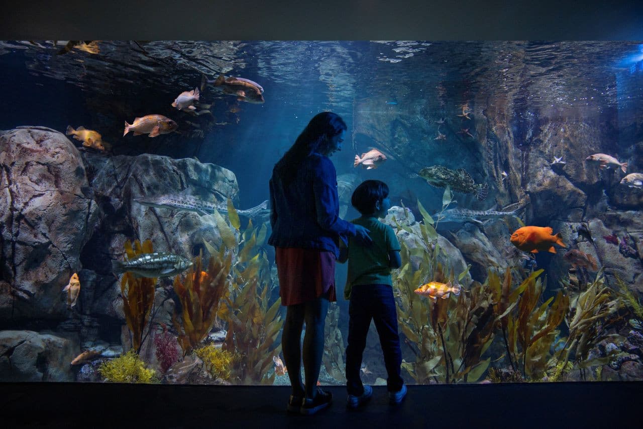 Go City Los Angeles All-Inclusive Pass Plus: Save up to 50% on Attractions - image 9