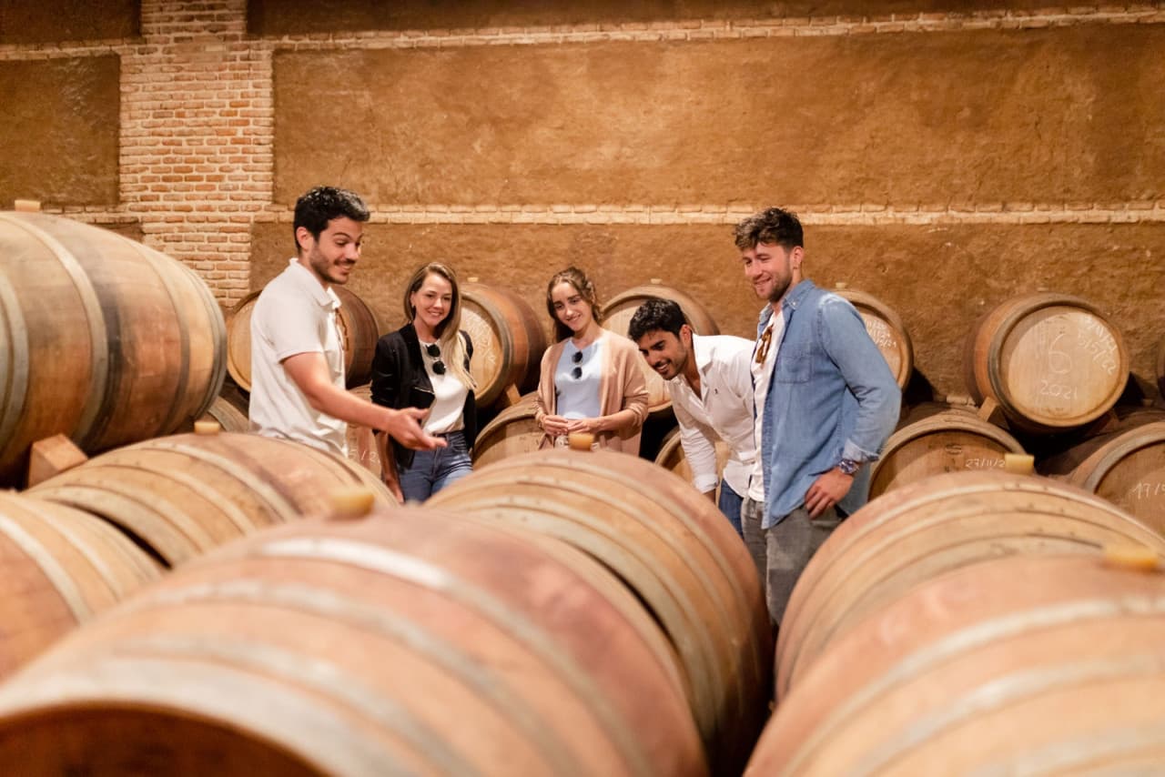 Toledo City Tour from Madrid with Wine Tasting Experience - image 7