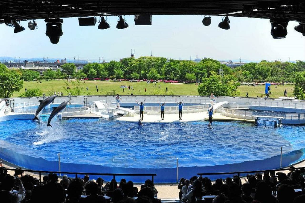 Kyoto Aquarium Ticket - image 11