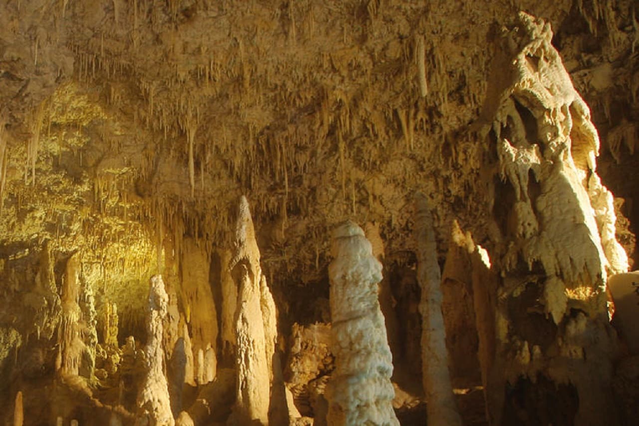 Okinawa World Pass - image 5