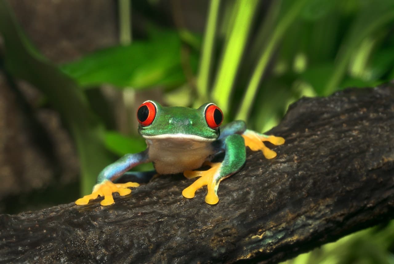 ARTIS Royal Zoo - image 10
