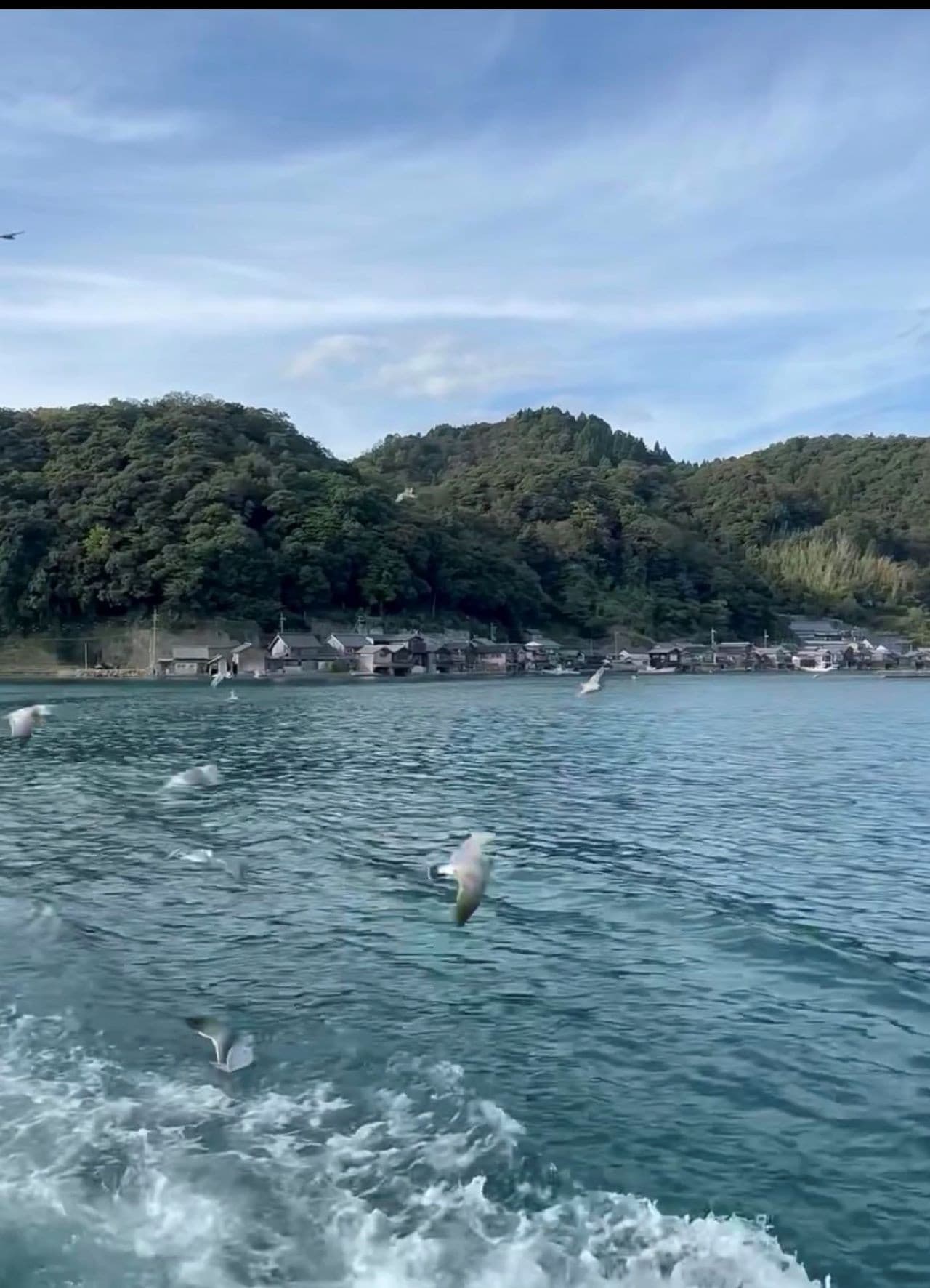 Amanohashidate and Ine Funaya Kyoto Day Tour from Osaka - image 4