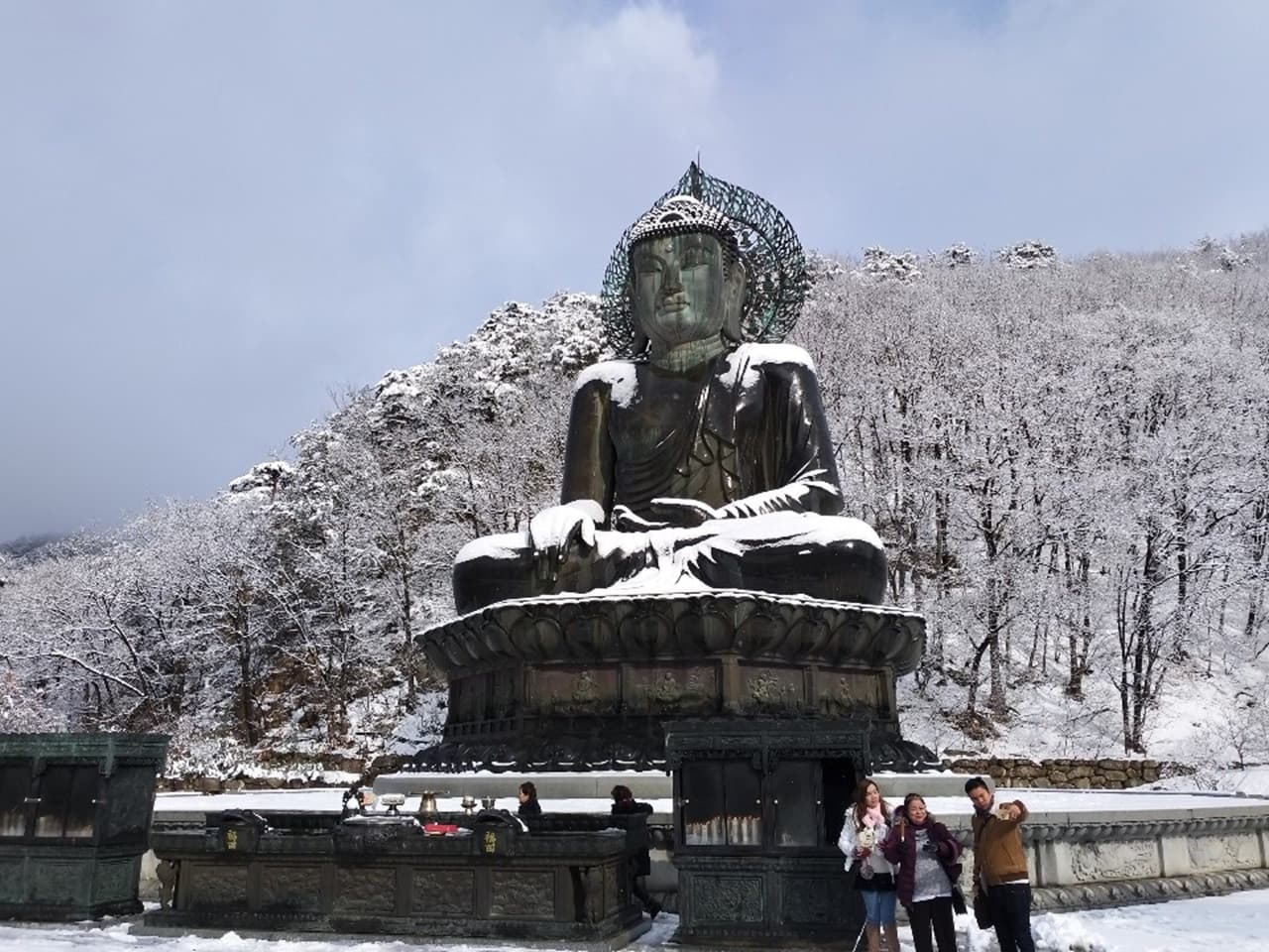 Nami Island, Mount Seorak, and Gapyeong Rail Bike Full-Day Tour from Seoul - 이미지 14