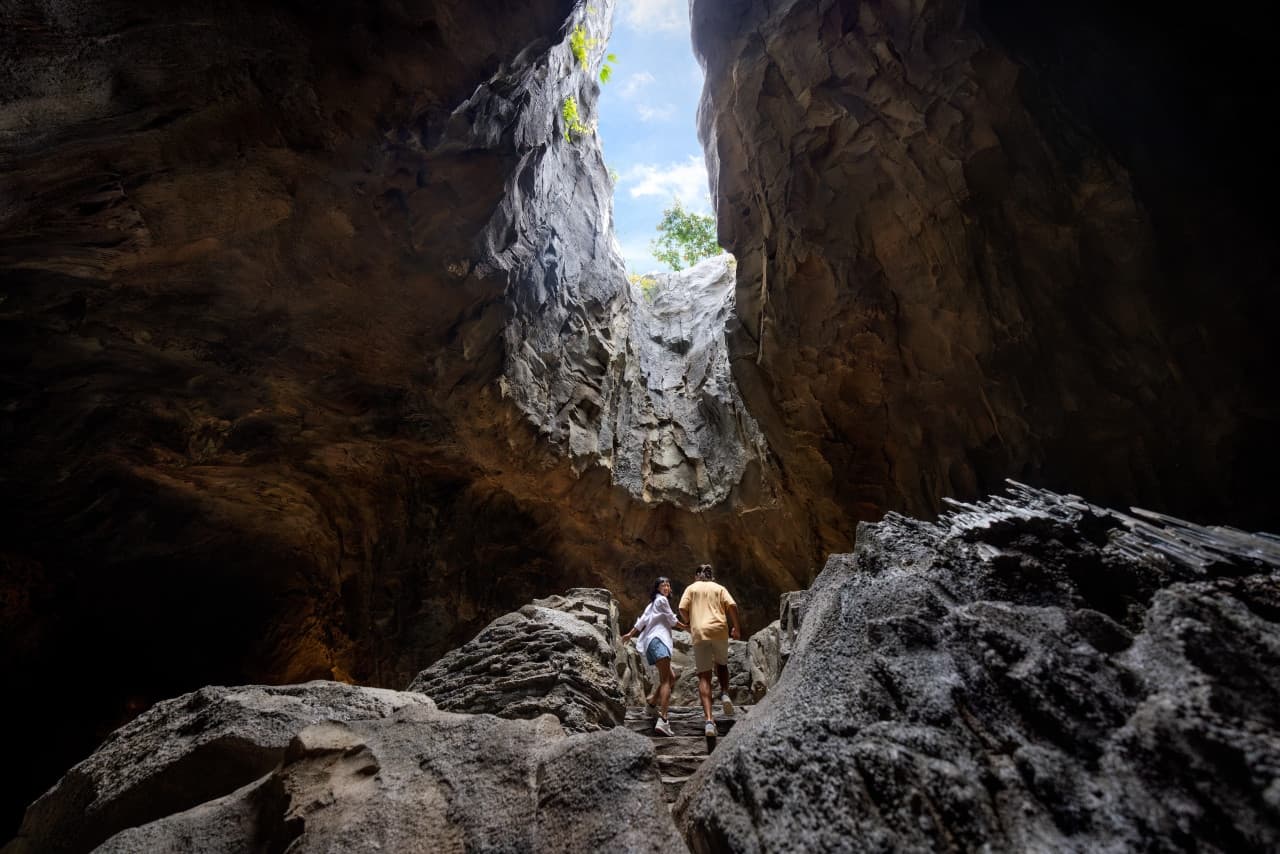 Mandai Destination Pass: Up to 2 Attractions in 1 Day - image 8