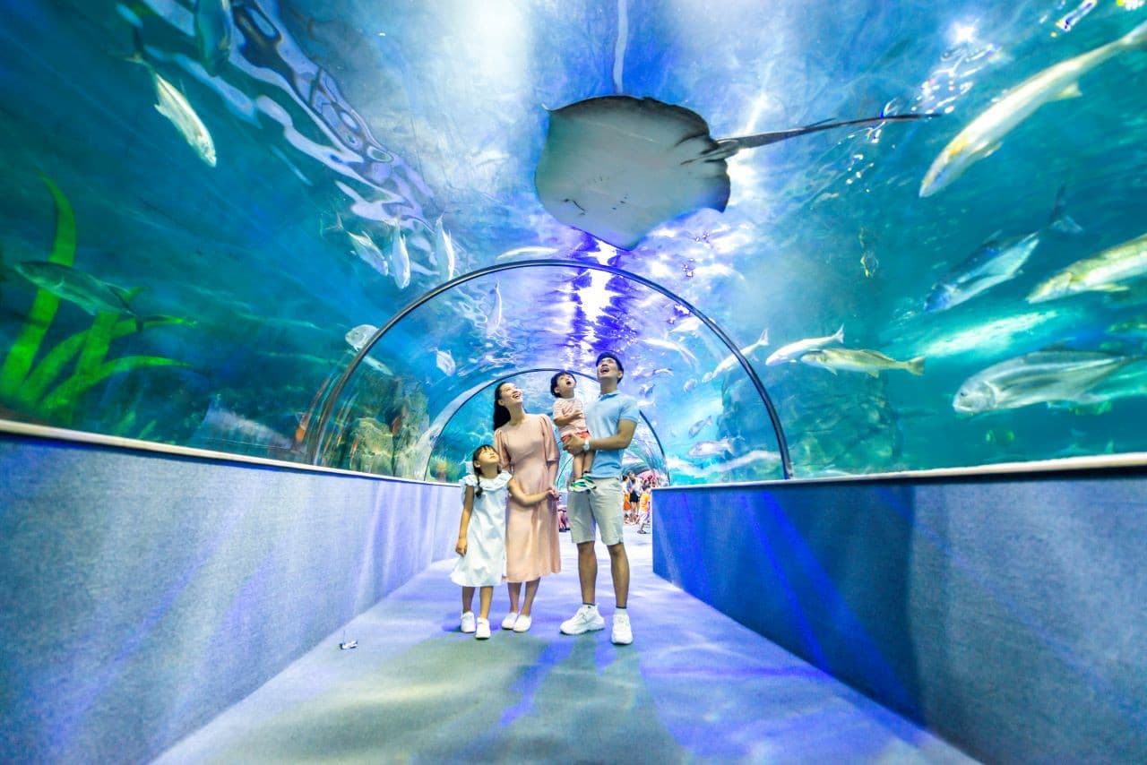Vinpearl Aquarium Times City Hanoi Ticket - image 2