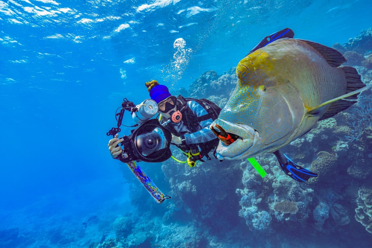 Tour Reef Magic Pontoon desde Cairns - imagen 12