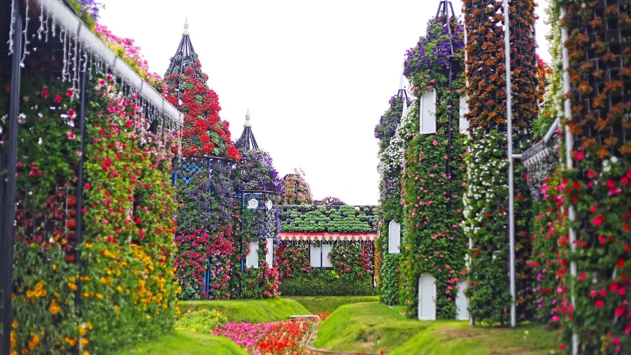 Entrada para Dubai Miracle Garden - imagen 7