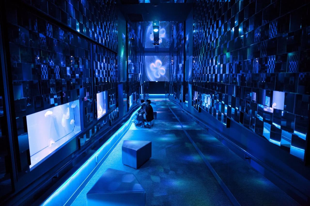 Sumida Aquarium Ticket - image 11