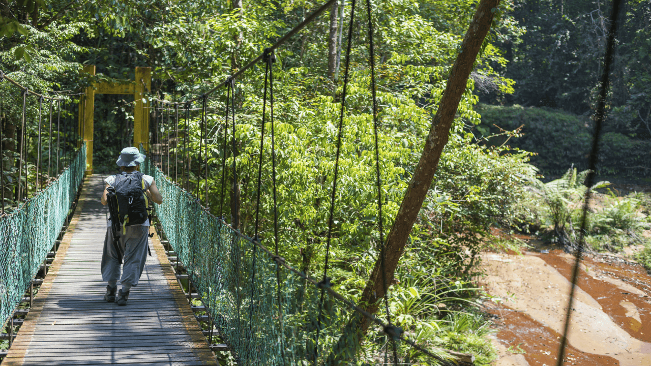 Taman Negara National Park Tour from Kuala Lumpur - main image