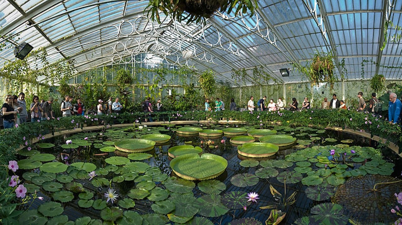 Kew Gardens - image 2