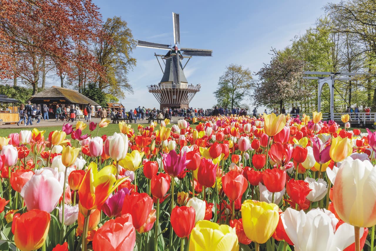 Go City Amsterdam All-Inclusive Pass: Save up to 50% on Attractions - image 38