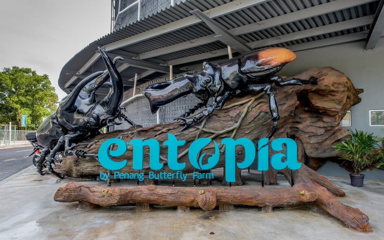 Entopia by Penang Butterfly Farm Ticket - image 21