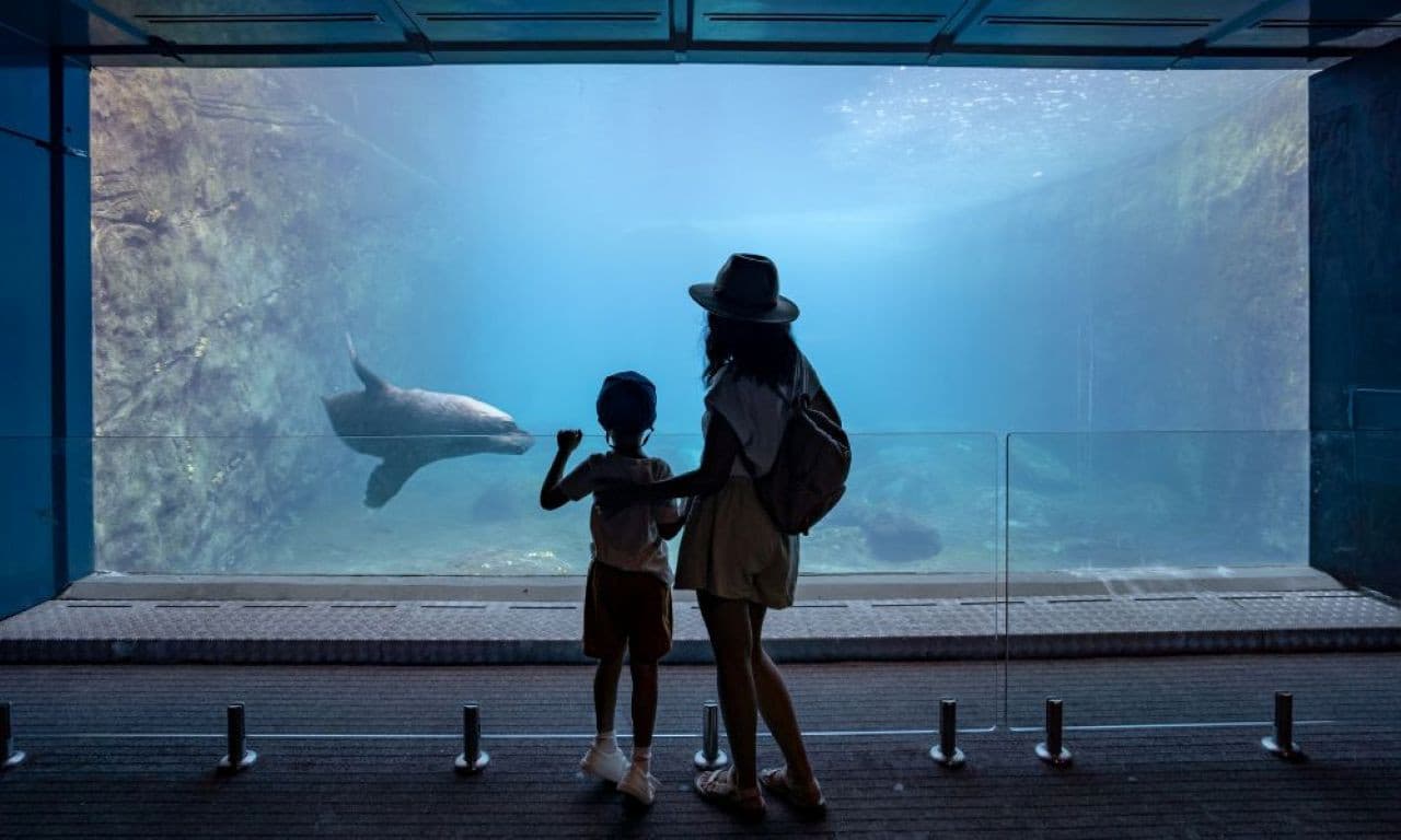Taronga Zoo Ticket with Optional Round Trip Ferry - image 6