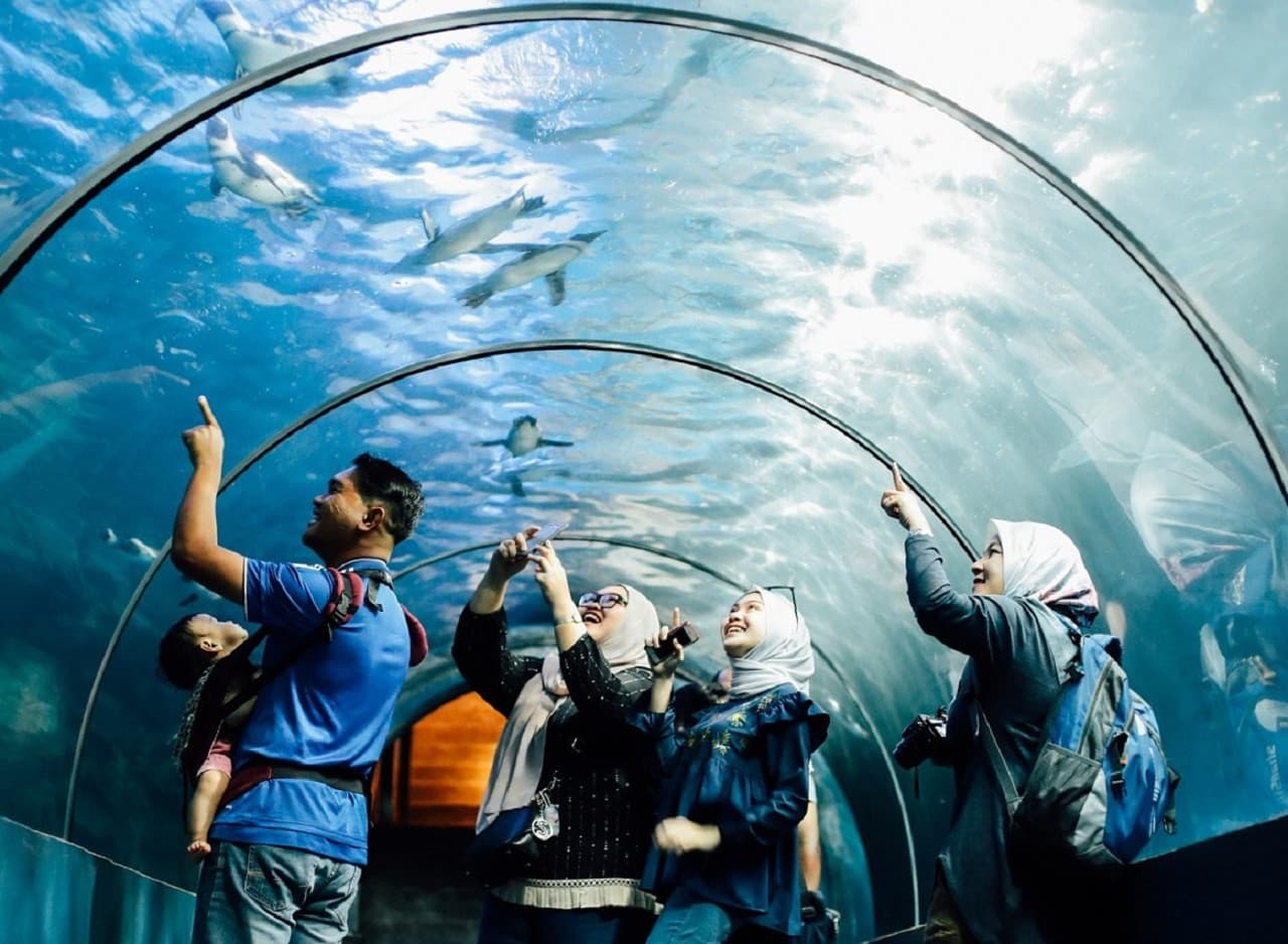 COMBO: Underwater World Langkawi + Crocodile Adventureland - main image