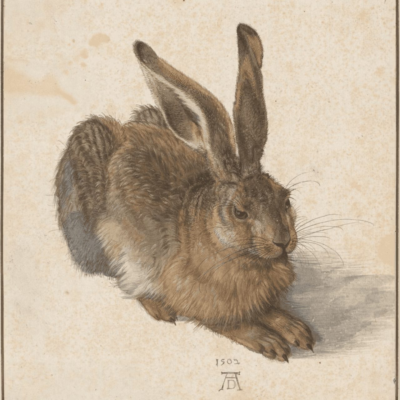 Albertina Museum - image 8