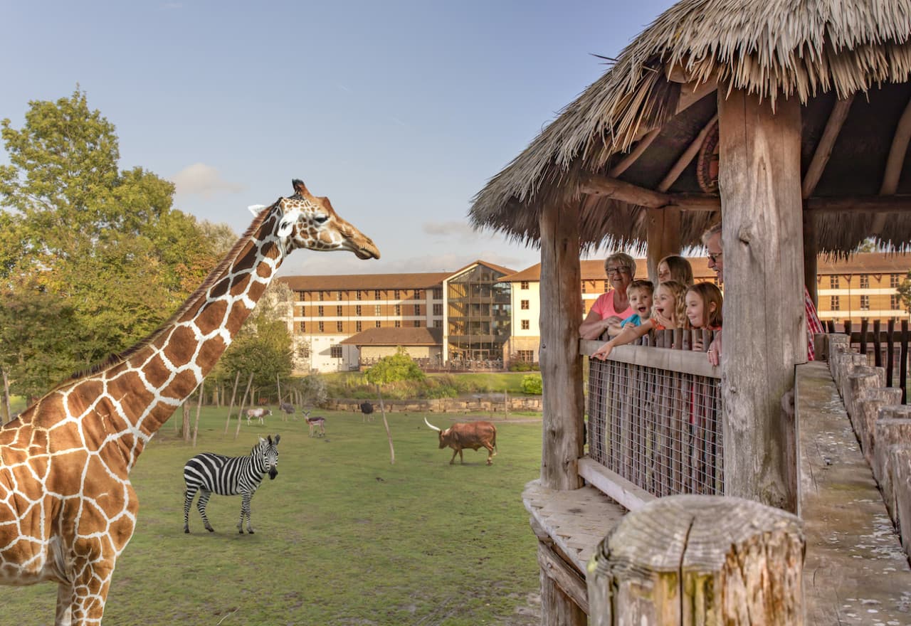 Chessington World of Adventures Ticket - image 16